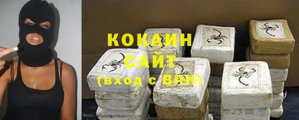 прущие грибы Горнозаводск
