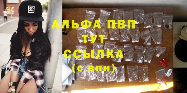прущие грибы Горнозаводск
