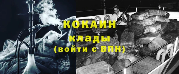 прущие грибы Горнозаводск