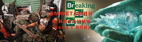 прущие грибы Горнозаводск