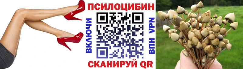 Купить закладки  Облучье  Псилоцибиновые грибы Psilocybine cubensis 